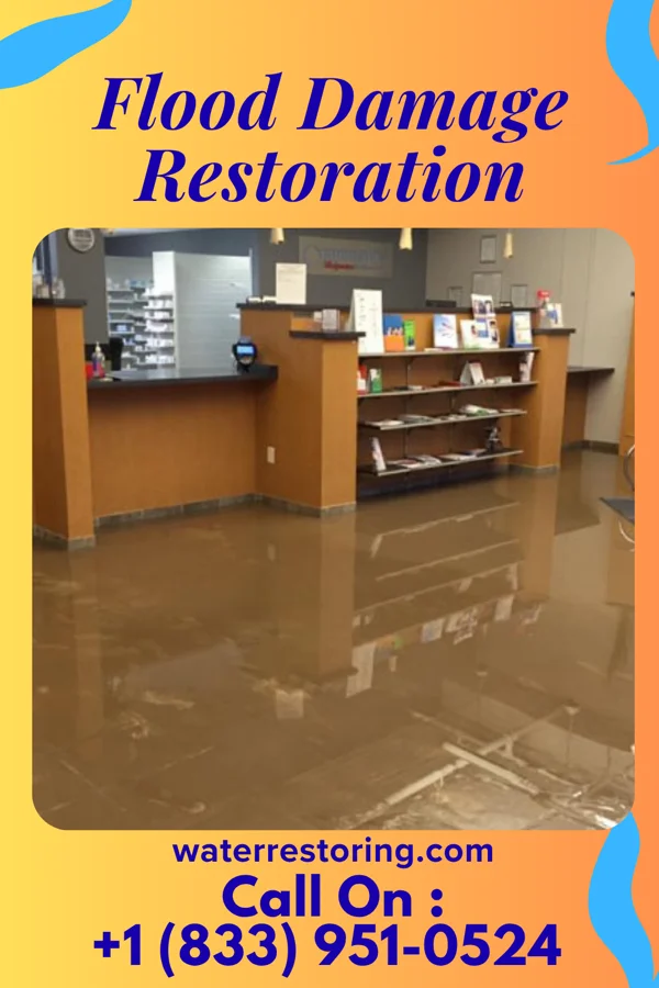 Flood Damage Restoration in Beaver Creek, MN