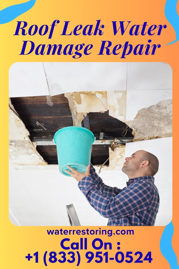Roof Leak Water Damage Repair in Beaver Creek, MN
